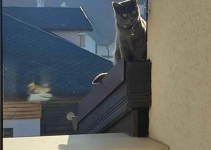 Appartamento локация и уют Bansko